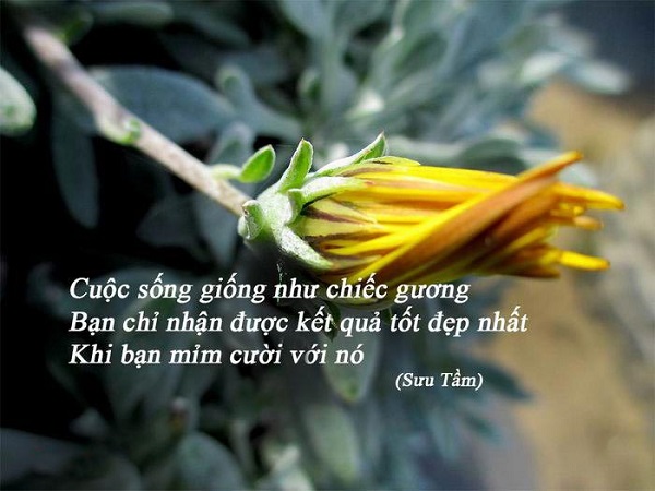 Danh ngôn cuộc sống