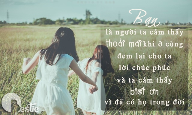 những câu stt hay