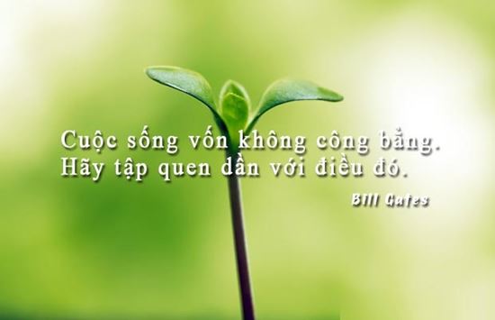 những câu stt hay