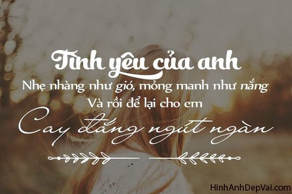 stt-hay-ve-tinh-yeu