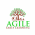 Agile Early learning